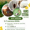 PLAKAT KURSU